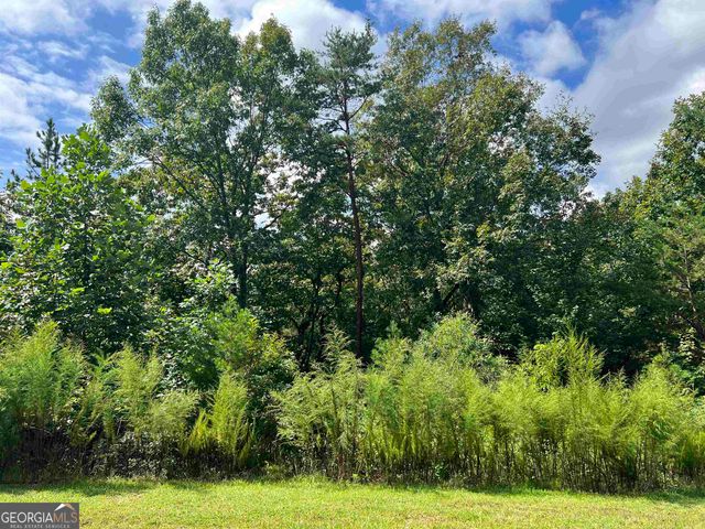 LOT 187 Northshore Drive, Cleveland, GA 30528