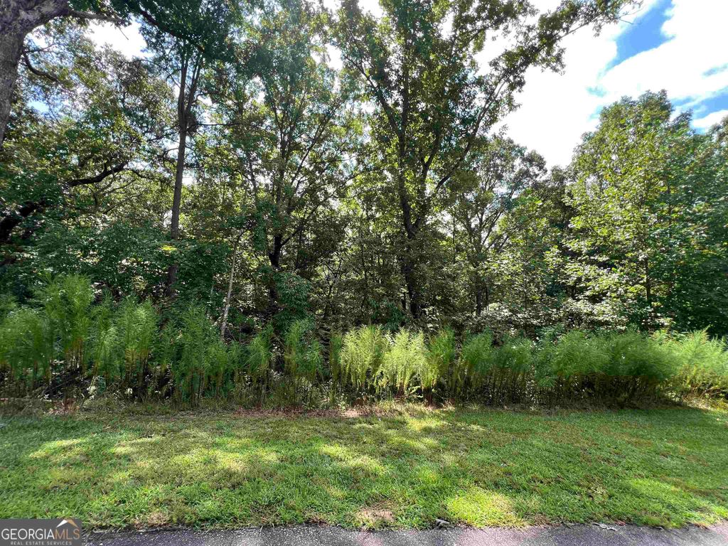 LOT 187 Northshore Drive, Cleveland, GA 30528