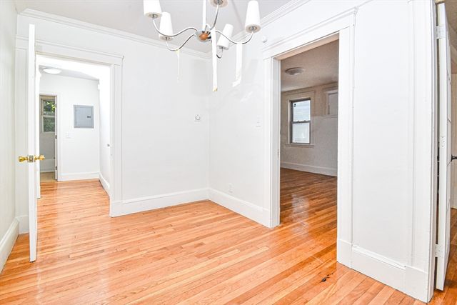 19 Ronan 1, Boston, MA 02125