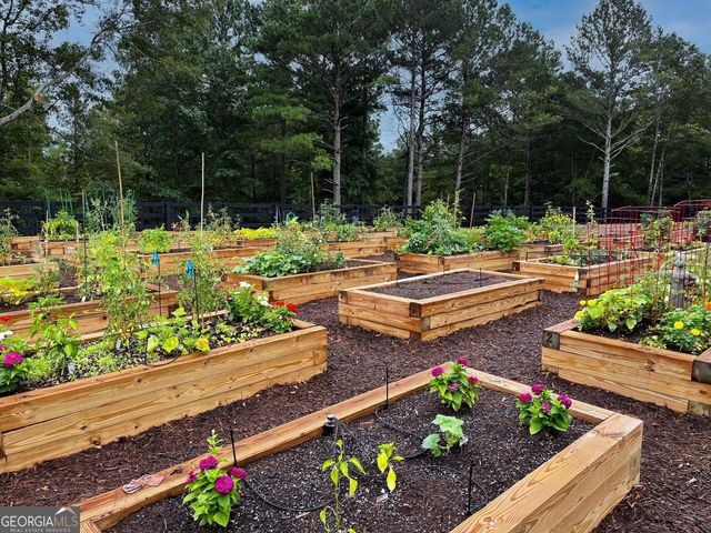 286 Chatuge Drive, Hoschton, GA 30548