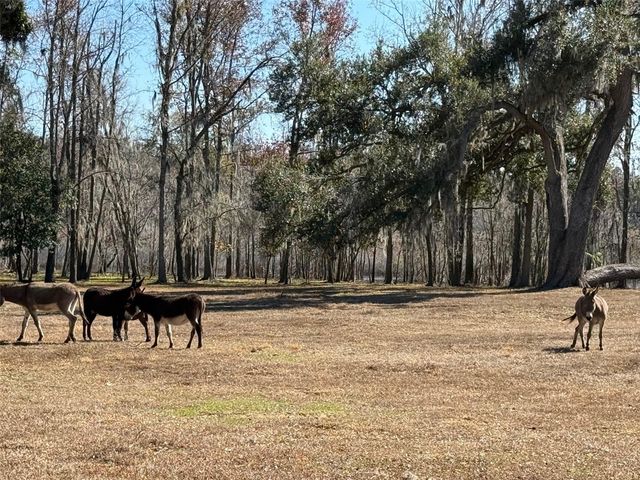 37214 HESTER ROAD, Dade City, FL 33525