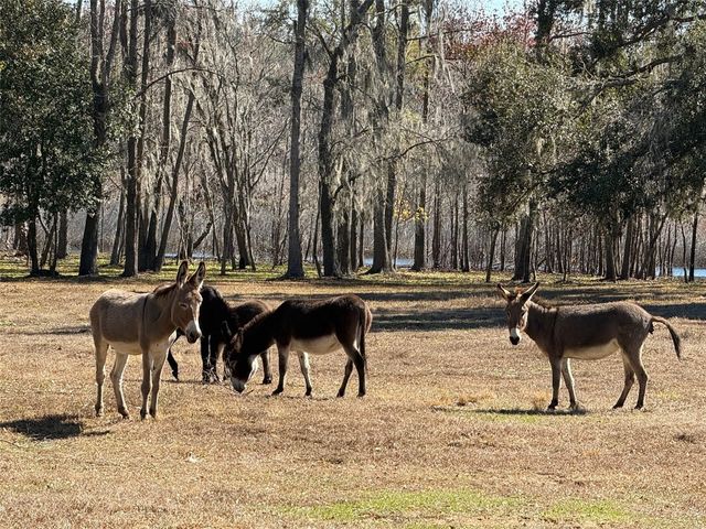 37214 HESTER ROAD, Dade City, FL 33525