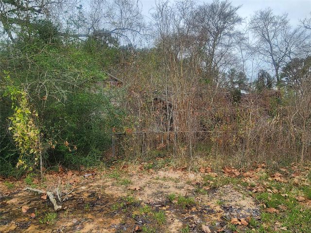 170 S Railroad Avenue, Shepherd, TX 77371