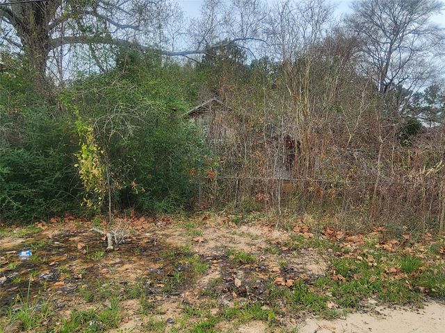 170 S Railroad Avenue, Shepherd, TX 77371