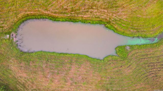 12591 LAVERNIA RD, St Hedwig, TX 78152