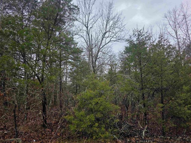 L-86,87 B-2 Gettysburg Drive, Cherokee Village, AR 72529