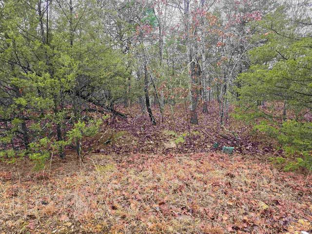 L-86,87 B-2 Gettysburg Drive, Cherokee Village, AR 72529