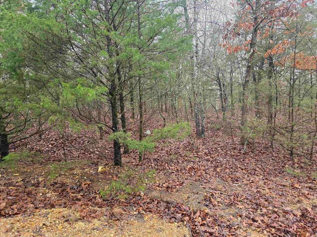 L-86,87 B-2 Gettysburg Drive, Cherokee Village, AR 72529