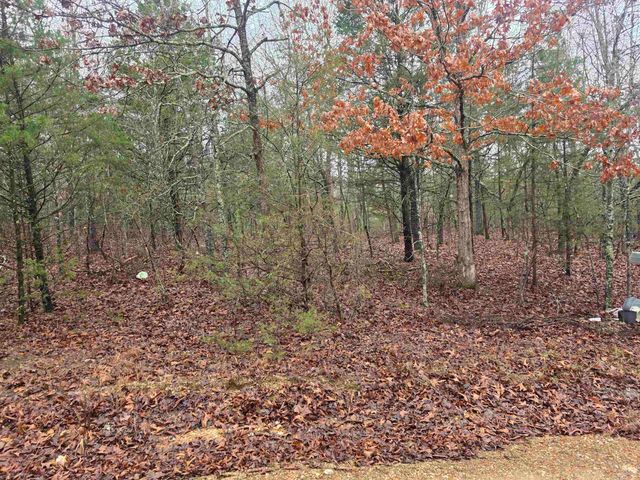 L-86,87 B-2 Gettysburg Drive, Cherokee Village, AR 72529