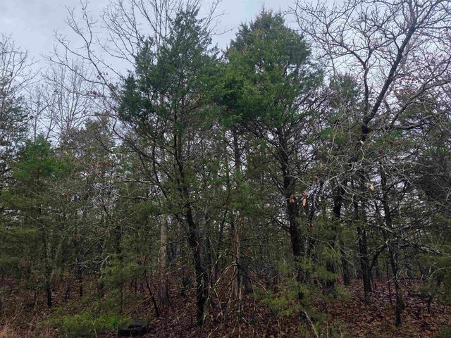 L-86,87 B-2 Gettysburg Drive, Cherokee Village, AR 72529