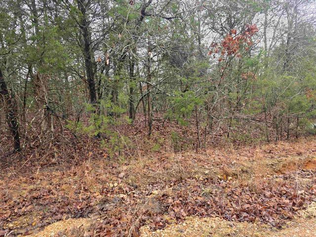 L-86,87 B-2 Gettysburg Drive, Cherokee Village, AR 72529