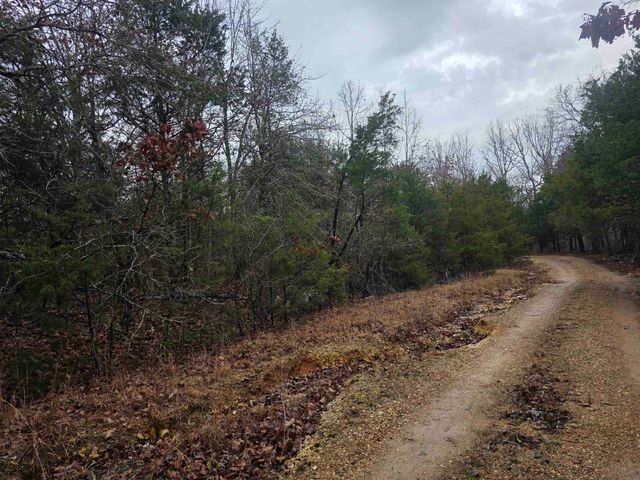 L-86,87 B-2 Gettysburg Drive, Cherokee Village, AR 72529