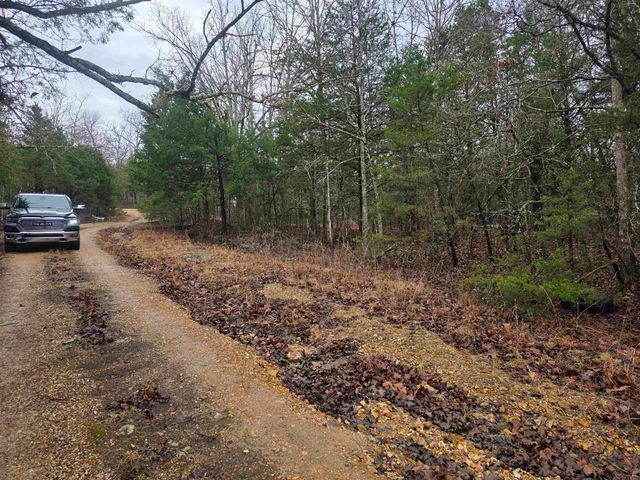 L-86,87 B-2 Gettysburg Drive, Cherokee Village, AR 72529