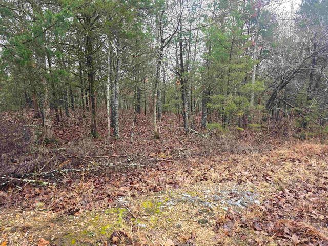 L-86,87 B-2 Gettysburg Drive, Cherokee Village, AR 72529