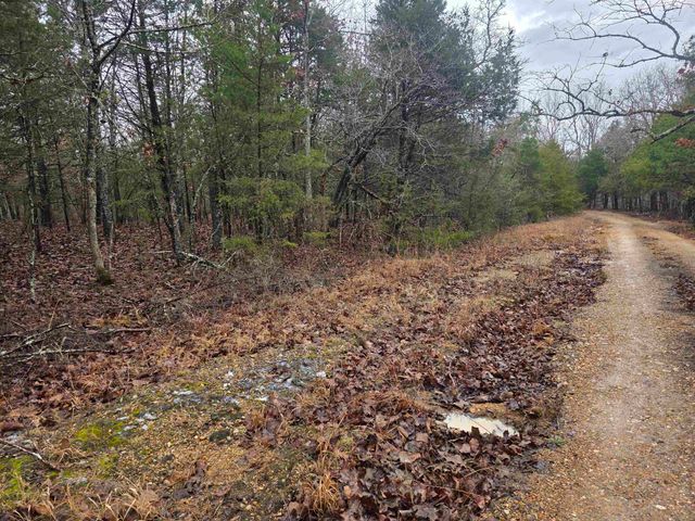 L-86,87 B-2 Gettysburg Drive, Cherokee Village, AR 72529