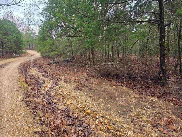 L-86,87 B-2 Gettysburg Drive, Cherokee Village, AR 72529