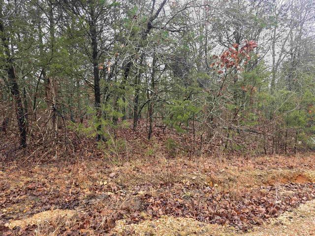 L-86,87 B-2 Gettysburg Drive, Cherokee Village, AR 72529