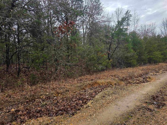 L-86,87 B-2 Gettysburg Drive, Cherokee Village, AR 72529