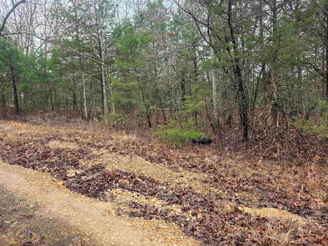 L-86,87 B-2 Gettysburg Drive, Cherokee Village, AR 72529