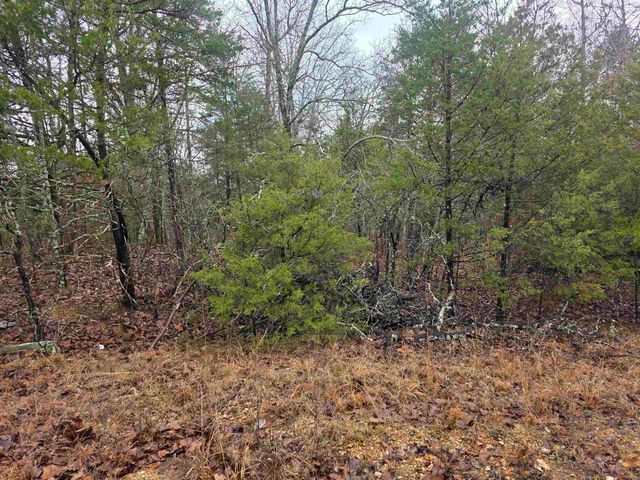 L-86,87 B-2 Gettysburg Drive, Cherokee Village, AR 72529