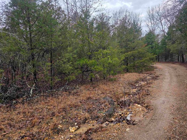 L-86,87 B-2 Gettysburg Drive, Cherokee Village, AR 72529