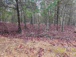 L-86,87 B-2 Gettysburg Drive, Cherokee Village, AR 72529