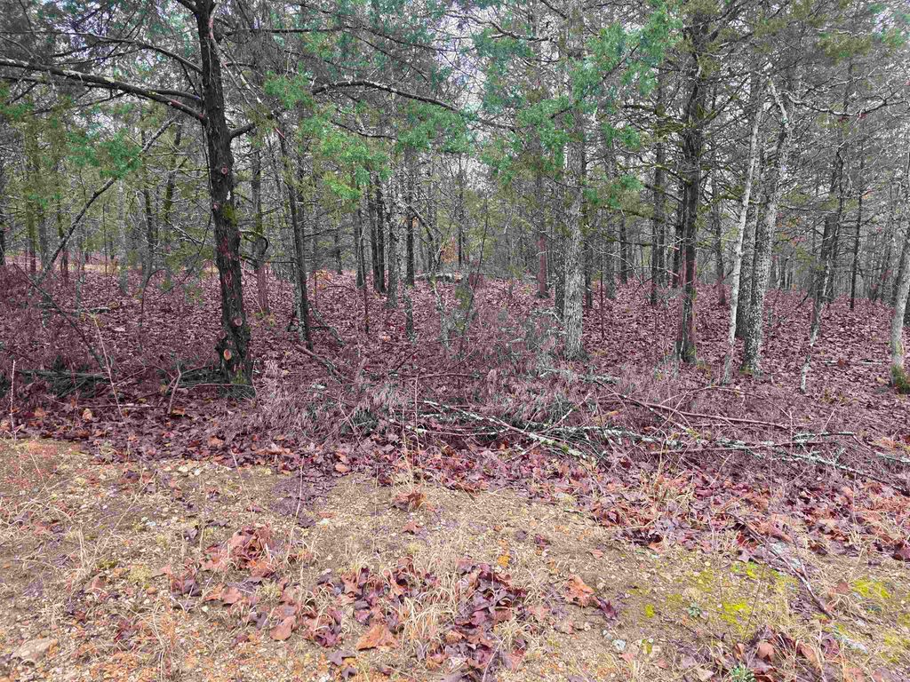 L-86,87 B-2 Gettysburg Drive, Cherokee Village, AR 72529