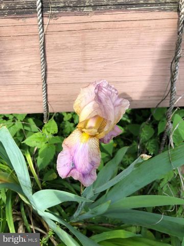 1511 CHARLES ST, Fredericksburg, VA 22401