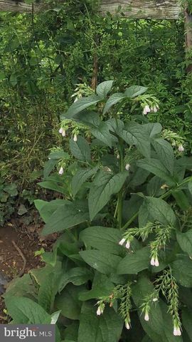 1511 CHARLES ST, Fredericksburg, VA 22401