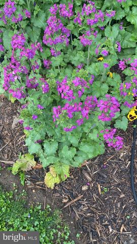 1511 CHARLES ST, Fredericksburg, VA 22401