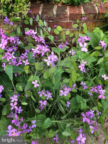 1511 CHARLES ST, Fredericksburg, VA 22401