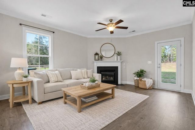 703 Mayflower Trail, Chapin, SC 29036