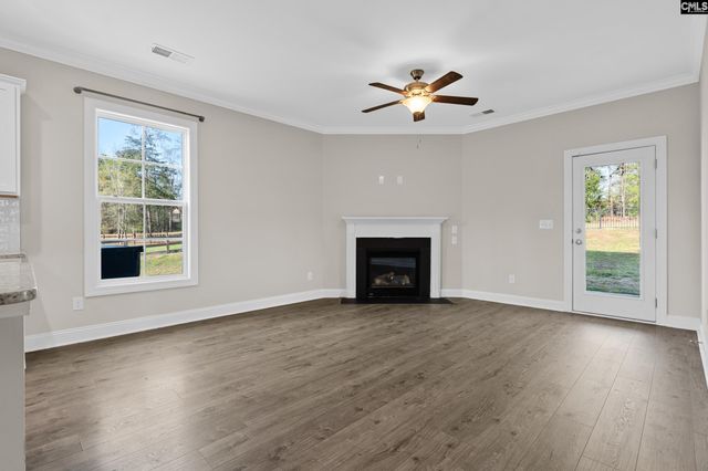 703 Mayflower Trail, Chapin, SC 29036