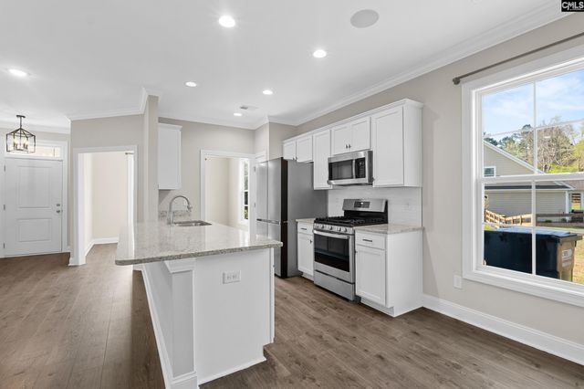 703 Mayflower Trail, Chapin, SC 29036