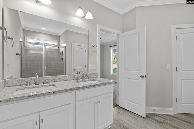 703 Mayflower Trail, Chapin, SC 29036