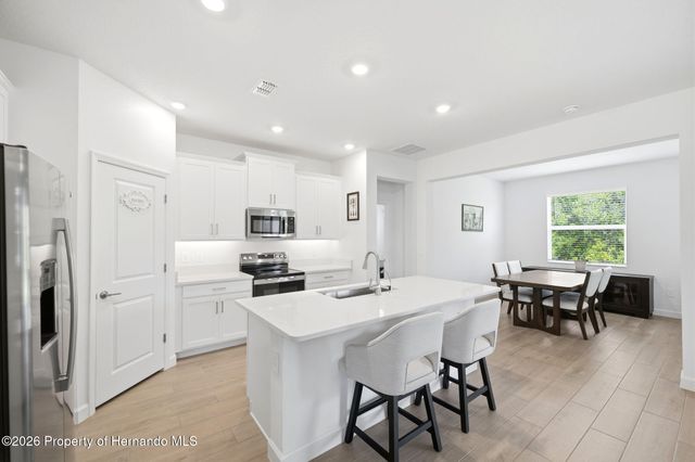 9776 Minnow Ray Drive, Land O'lakes, FL 34638