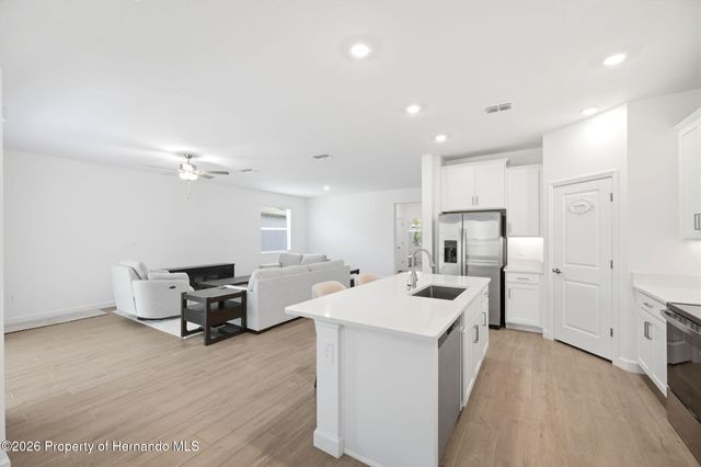 9776 Minnow Ray Drive, Land O'lakes, FL 34638