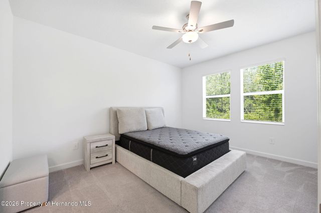 9776 Minnow Ray Drive, Land O'lakes, FL 34638