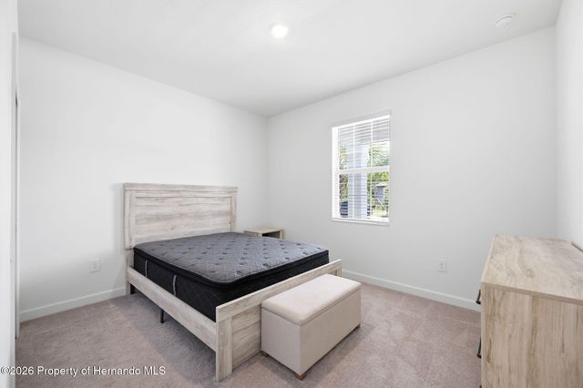 9776 Minnow Ray Drive, Land O'lakes, FL 34638