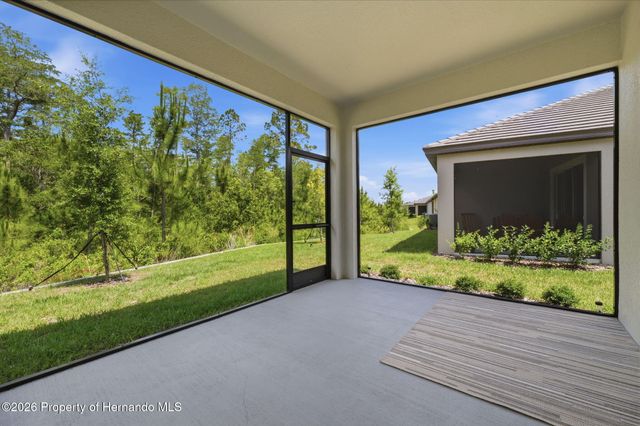 9776 Minnow Ray Drive, Land O'lakes, FL 34638