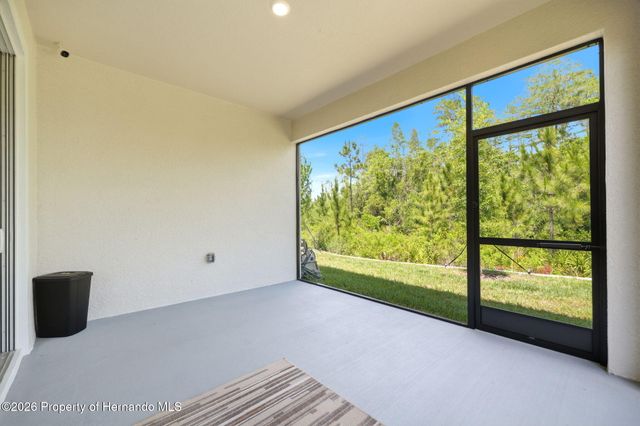 9776 Minnow Ray Drive, Land O'lakes, FL 34638