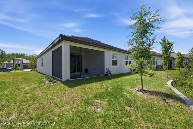 9776 Minnow Ray Drive, Land O'lakes, FL 34638