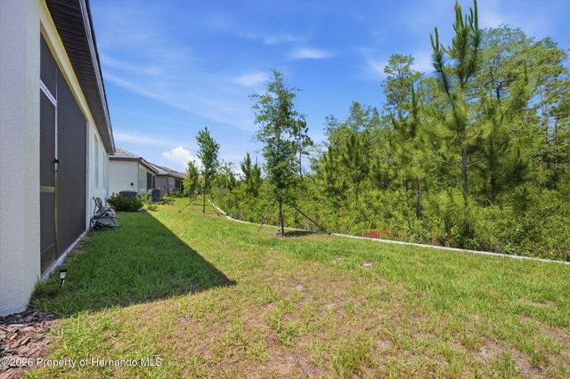 9776 Minnow Ray Drive, Land O'lakes, FL 34638