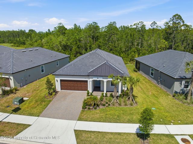 9776 Minnow Ray Drive, Land O'lakes, FL 34638