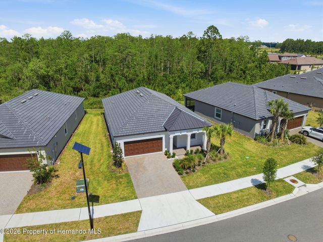 9776 Minnow Ray Drive, Land O'lakes, FL 34638