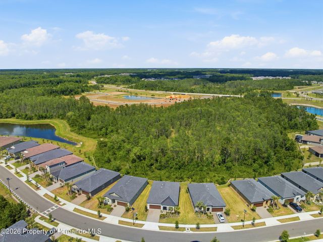 9776 Minnow Ray Drive, Land O'lakes, FL 34638