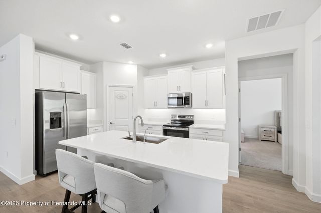 9776 Minnow Ray Drive, Land O'lakes, FL 34638