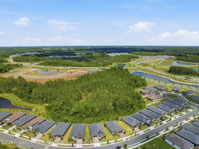9776 Minnow Ray Drive, Land O'lakes, FL 34638