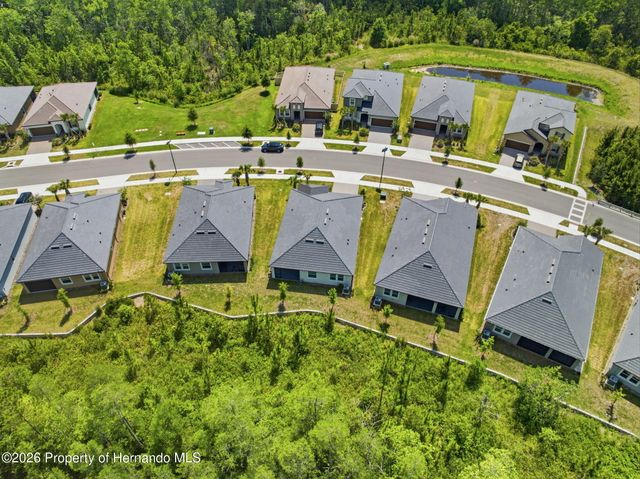 9776 Minnow Ray Drive, Land O'lakes, FL 34638
