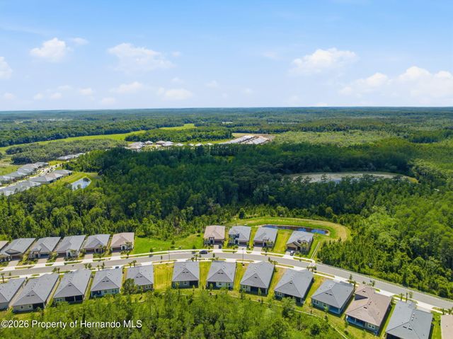 9776 Minnow Ray Drive, Land O'lakes, FL 34638